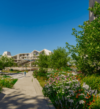 Envolvência 4 - Foz d1e Prata