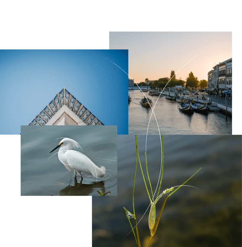 Conceito do Foz de Prata